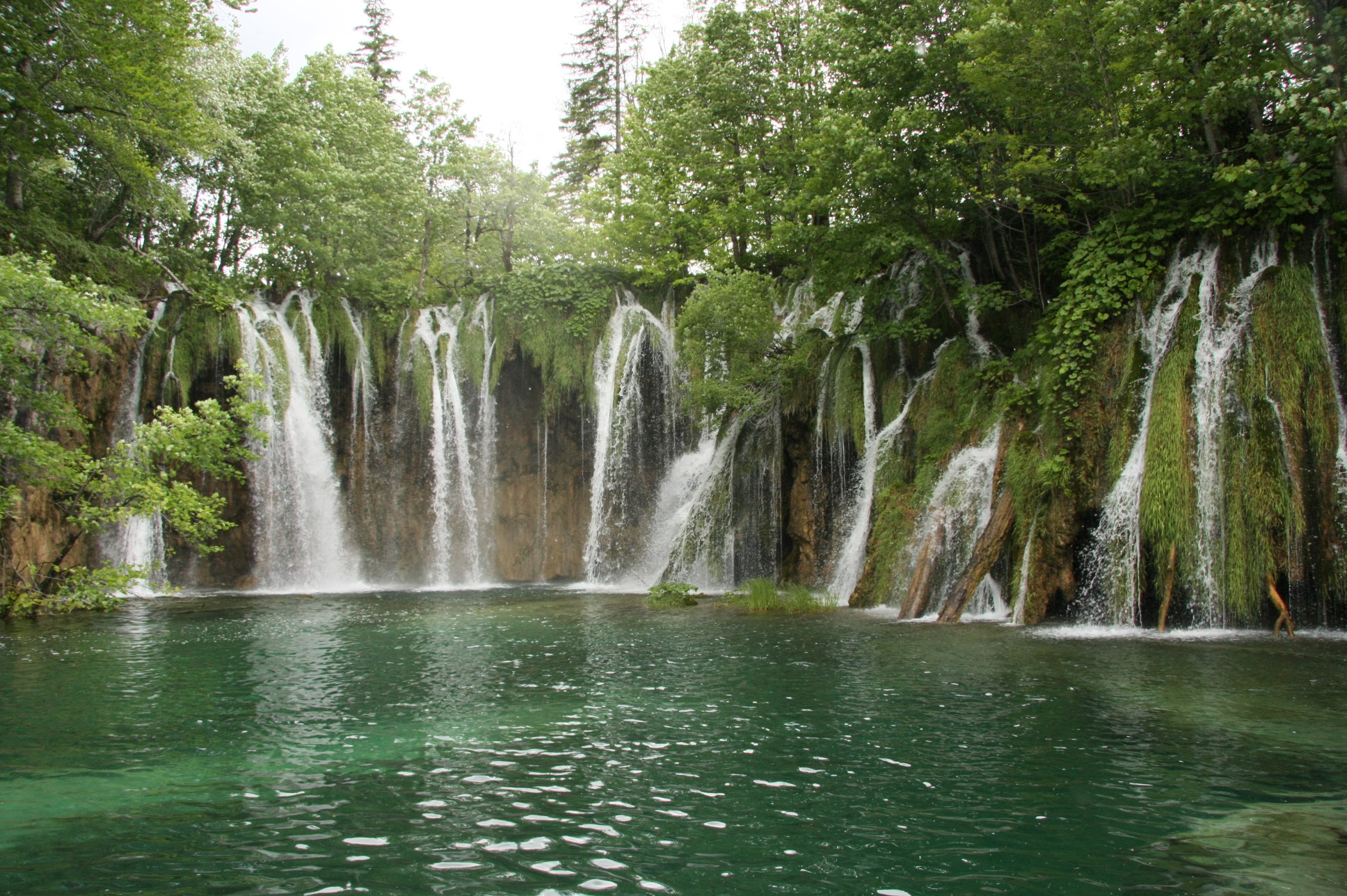 IMG_8968.jpg